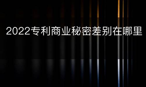 2022专利商业秘密差别在哪里