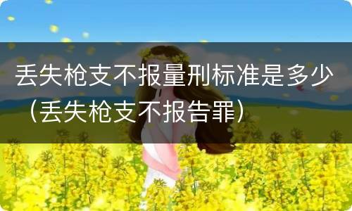 丢失枪支不报量刑标准是多少（丢失枪支不报告罪）