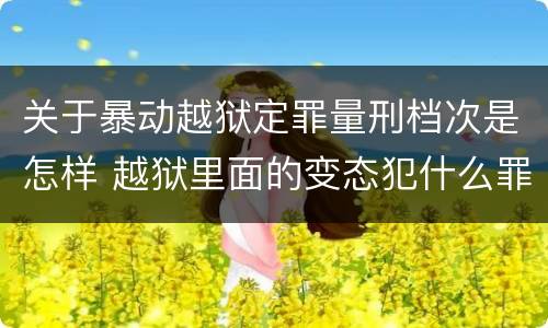 关于暴动越狱定罪量刑档次是怎样 越狱里面的变态犯什么罪