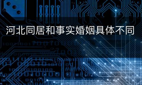 河北同居和事实婚姻具体不同