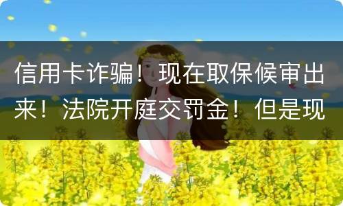 信用卡诈骗！现在取保候审出来！法院开庭交罚金！但是现在没钱交！法院会让收监吗