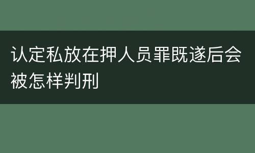 认定私放在押人员罪既遂后会被怎样判刑