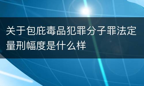 关于包庇毒品犯罪分子罪法定量刑幅度是什么样