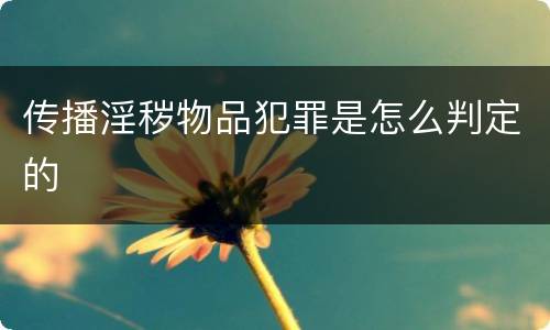 传播淫秽物品犯罪是怎么判定的