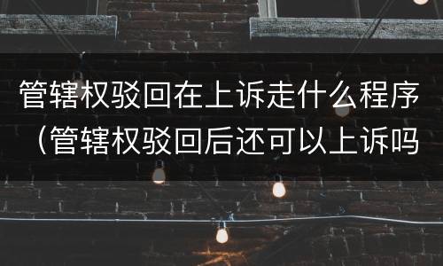管辖权驳回在上诉走什么程序（管辖权驳回后还可以上诉吗）