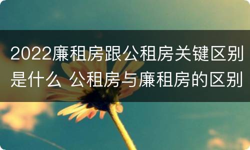 2022廉租房跟公租房关键区别是什么 公租房与廉租房的区别都在此,别再搞错了!