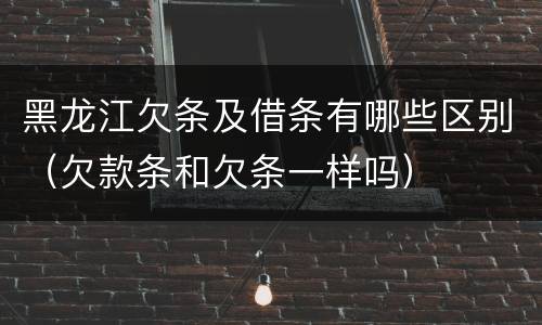 黑龙江欠条及借条有哪些区别（欠款条和欠条一样吗）