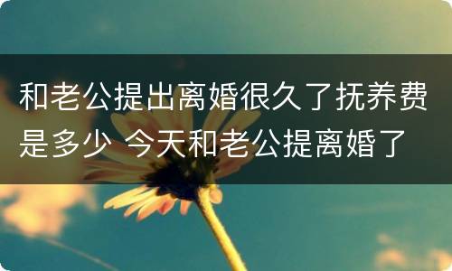 和老公提出离婚很久了抚养费是多少 今天和老公提离婚了