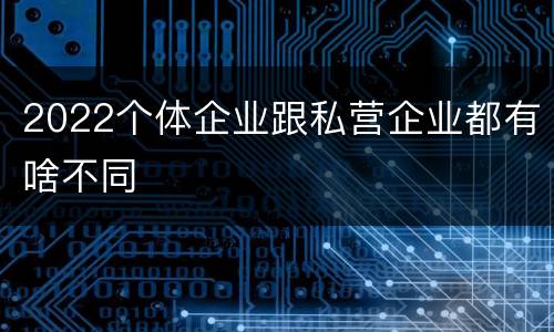 2022个体企业跟私营企业都有啥不同