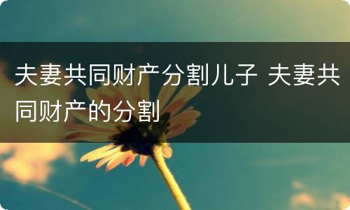 夫妻共同财产分割儿子 夫妻共同财产的分割