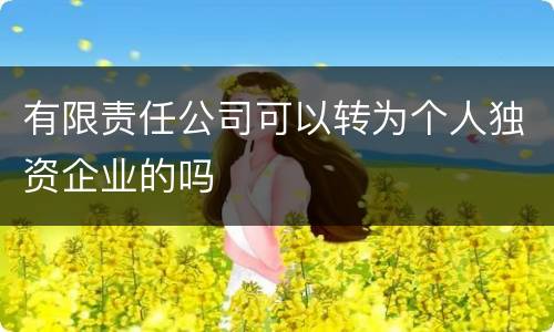 有限责任公司可以转为个人独资企业的吗