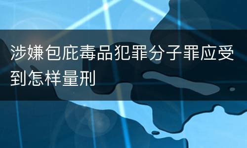 涉嫌包庇毒品犯罪分子罪应受到怎样量刑
