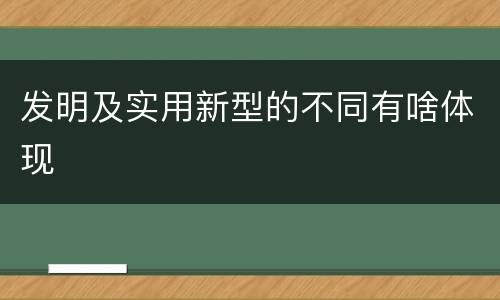 发明及实用新型的不同有啥体现