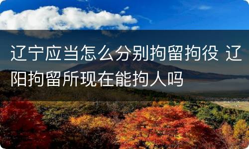 辽宁应当怎么分别拘留拘役 辽阳拘留所现在能拘人吗