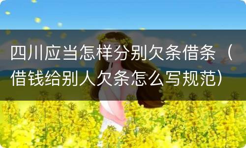 四川应当怎样分别欠条借条（借钱给别人欠条怎么写规范）
