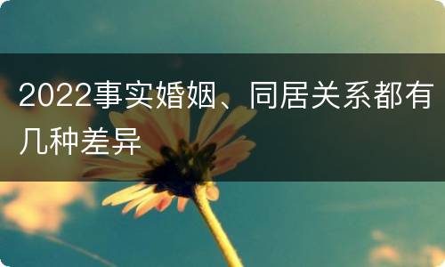 2022事实婚姻、同居关系都有几种差异