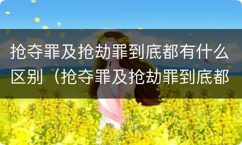 抢夺罪及抢劫罪到底都有什么区别（抢夺罪及抢劫罪到底都有什么区别呢）