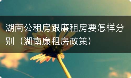 湖南公租房跟廉租房要怎样分别（湖南廉租房政策）