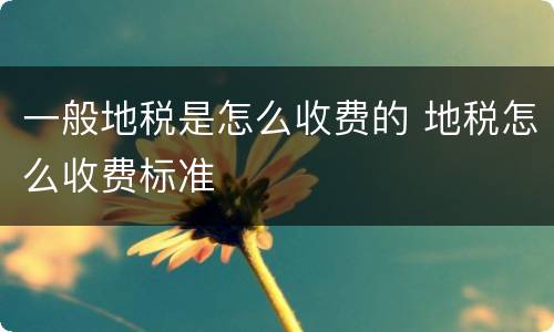 一般地税是怎么收费的 地税怎么收费标准