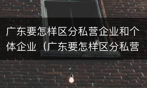 广东要怎样区分私营企业和个体企业（广东要怎样区分私营企业和个体企业呢）