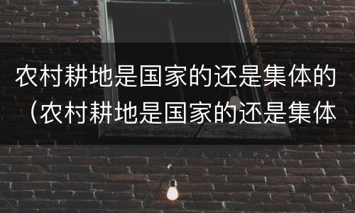 农村耕地是国家的还是集体的（农村耕地是国家的还是集体的好）