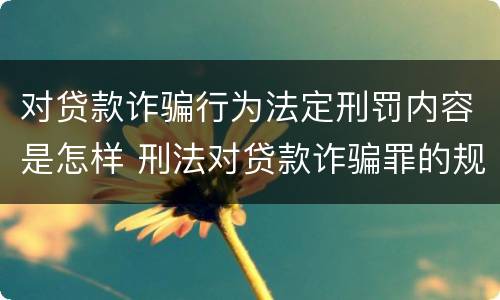 对贷款诈骗行为法定刑罚内容是怎样 刑法对贷款诈骗罪的规定