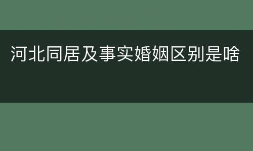 河北同居及事实婚姻区别是啥
