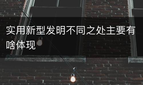 实用新型发明不同之处主要有啥体现