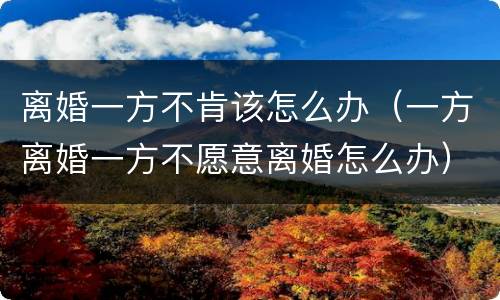 离婚一方不肯该怎么办（一方离婚一方不愿意离婚怎么办）