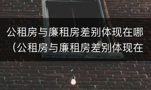 公租房与廉租房差别体现在哪（公租房与廉租房差别体现在哪方面）