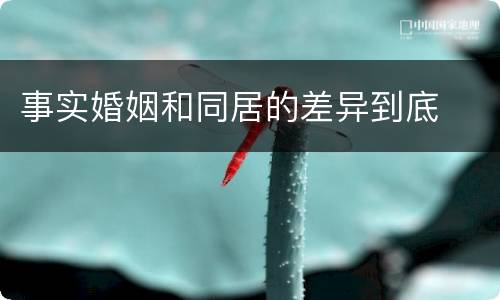 事实婚姻和同居的差异到底