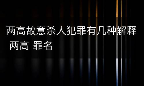 两高故意杀人犯罪有几种解释 两高 罪名