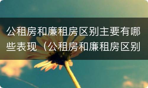 公租房和廉租房区别主要有哪些表现（公租房和廉租房区别主要有哪些表现和特点）