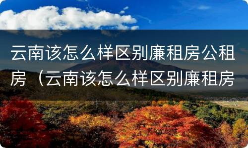 云南该怎么样区别廉租房公租房（云南该怎么样区别廉租房公租房呢）