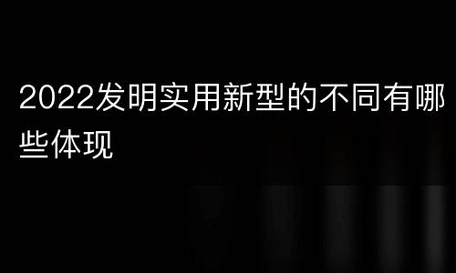 2022发明实用新型的不同有哪些体现