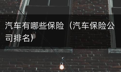 汽车有哪些保险（汽车保险公司排名）