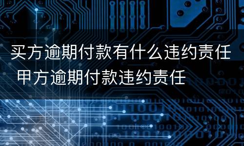 买方逾期付款有什么违约责任 甲方逾期付款违约责任