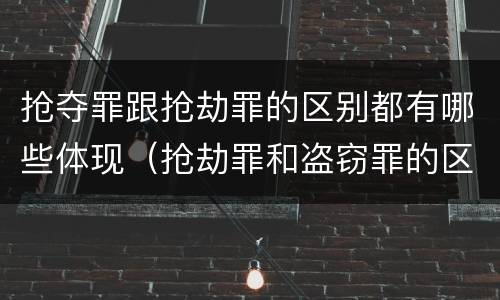 抢夺罪跟抢劫罪的区别都有哪些体现（抢劫罪和盗窃罪的区别）
