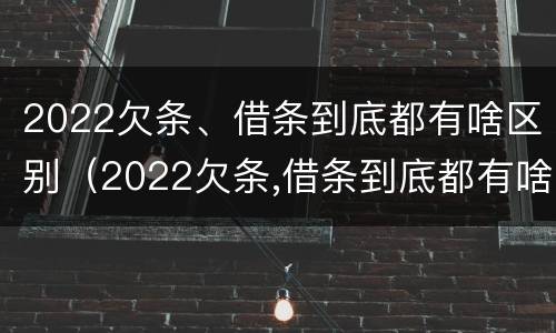 2022欠条、借条到底都有啥区别（2022欠条,借条到底都有啥区别呢）