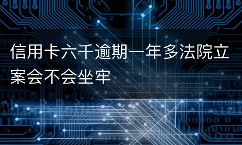 信用卡六千逾期一年多法院立案会不会坐牢
