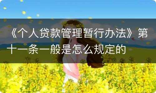 《个人贷款管理暂行办法》第十一条一般是怎么规定的