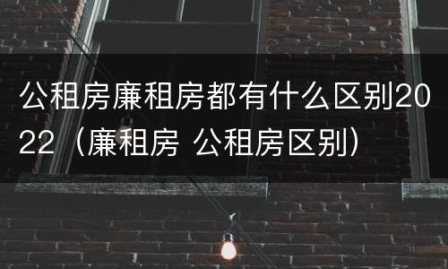 公租房廉租房都有什么区别2022（廉租房 公租房区别）
