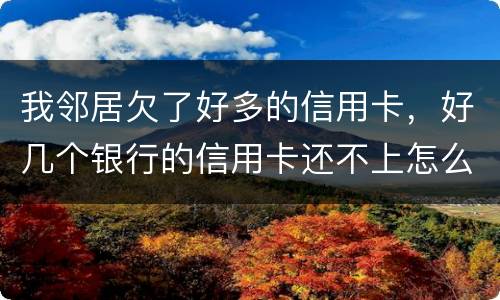 我邻居欠了好多的信用卡，好几个银行的信用卡还不上怎么办的啊