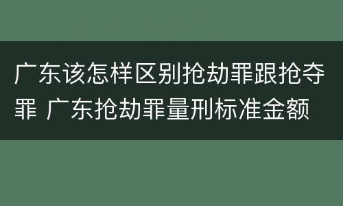 广东该怎样区别抢劫罪跟抢夺罪 广东抢劫罪量刑标准金额