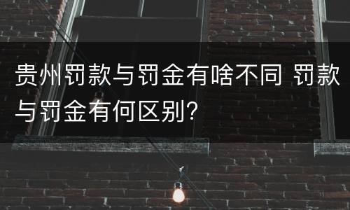 贵州罚款与罚金有啥不同 罚款与罚金有何区别?