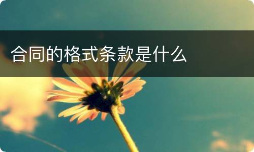 合同的格式条款是什么