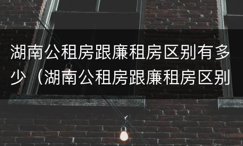湖南公租房跟廉租房区别有多少（湖南公租房跟廉租房区别有多少套）