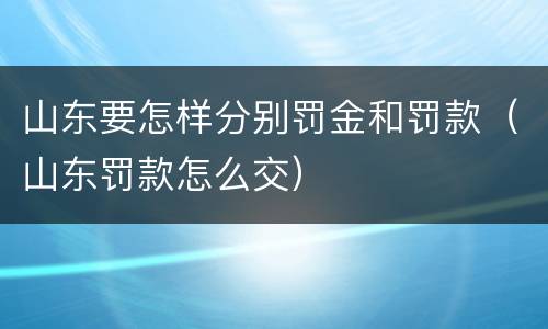 山东要怎样分别罚金和罚款（山东罚款怎么交）