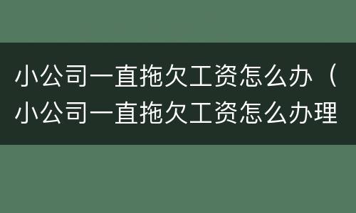 小公司一直拖欠工资怎么办（小公司一直拖欠工资怎么办理）