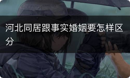 河北同居跟事实婚姻要怎样区分